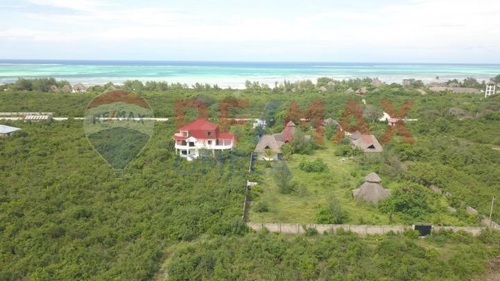 Crim Wind Freedom Hotel Jambiani  Ngoại thất bức ảnh